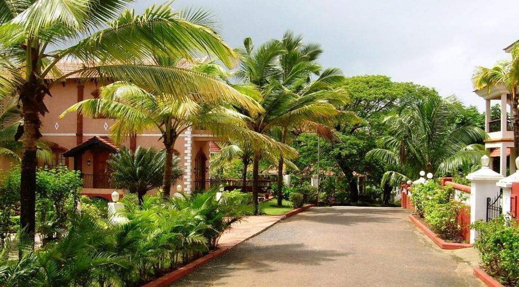 Grace Candolim Luxury Villa المظهر الخارجي الصورة